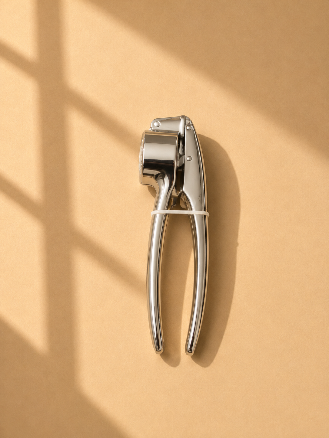 Garlic Press 2