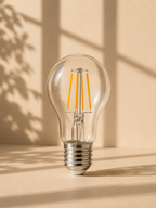 “Livarno” Warm Light LED Bulbs E27 40W