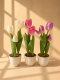 Tulip Bouquet