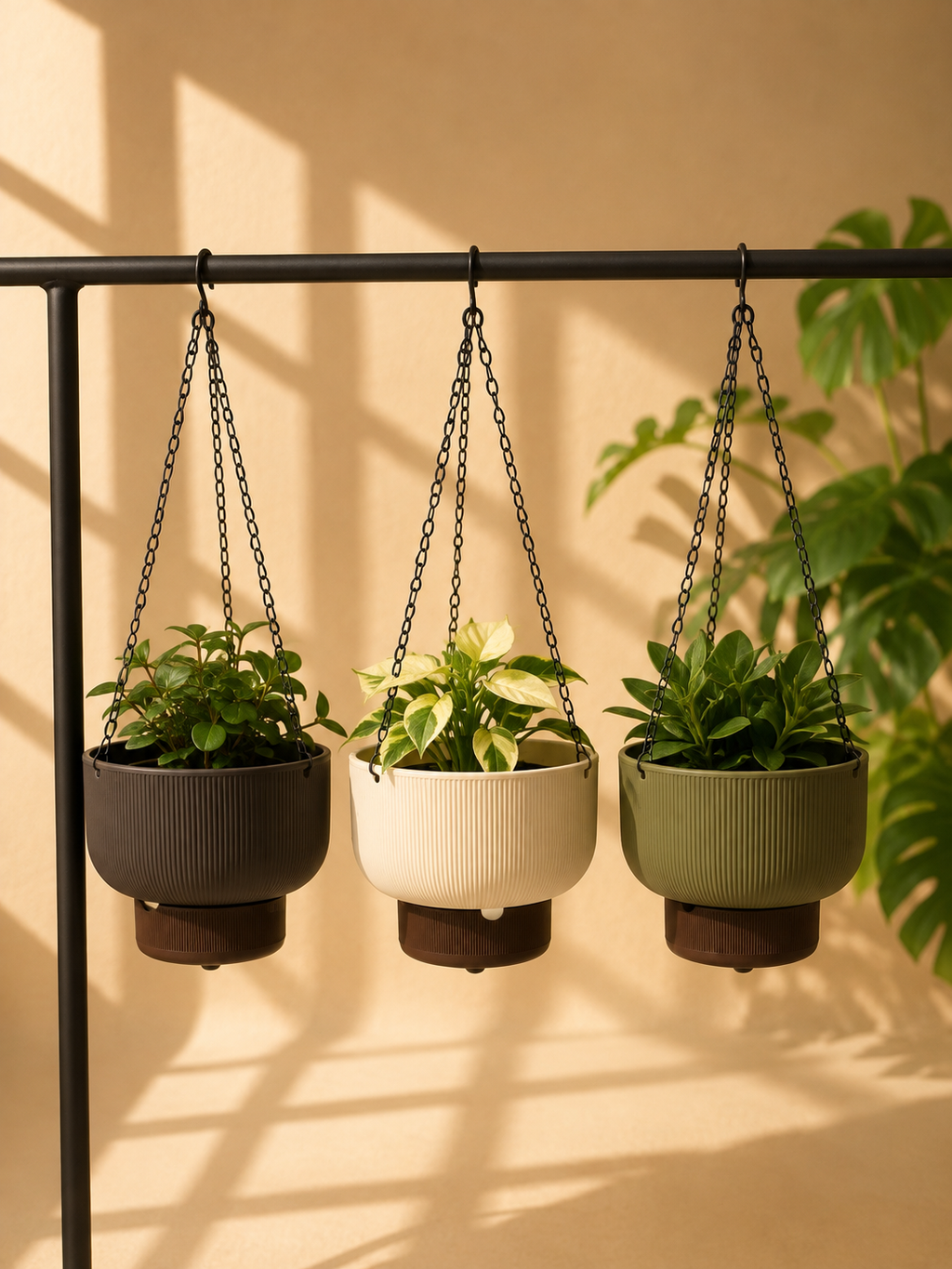 Trio Hanging Planter