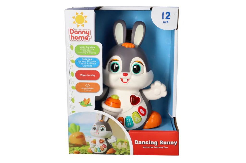 Dancing Rabbit Toy
