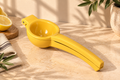 Lemon Juicer