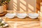 Dessert Bowls & Tray Set 4pcs