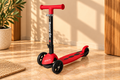 Danny Go 3-Wheel Foldable Scooter