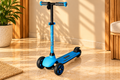 Danny Go 3-Wheel Electric Scooter