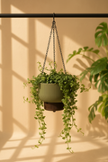 Trio Hanging Planter