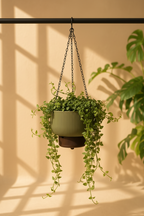 Trio Hanging Planter