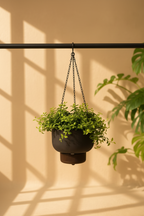 Trio Hanging Planter