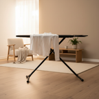 Ironing Board 1