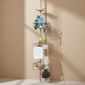 Shower Rack